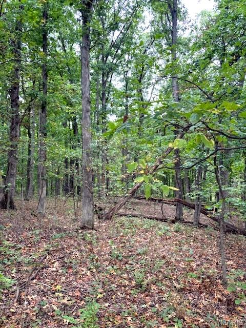 80-ac Dream Hollow Road Troy, MO 63379 - Photo 14 of 20