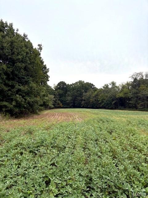 80-ac Dream Hollow Road Troy, MO 63379 - Photo 15 of 20