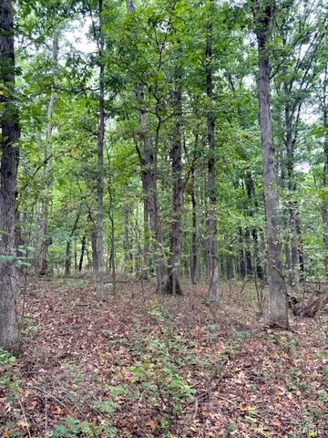 $1,360,000 | 80-ac Dream Hollow Road, Troy, MO 63379