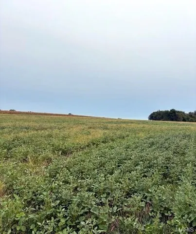 $1,360,000 | 80-ac Dream Hollow Road, Troy, MO 63379