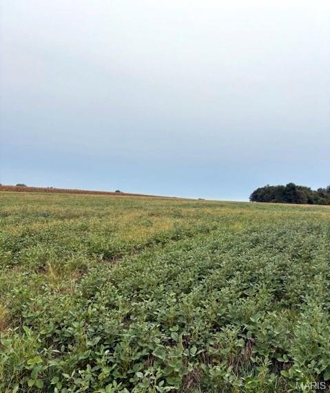 80-ac Dream Hollow Road Troy, MO 63379 - Photo 2 of 20