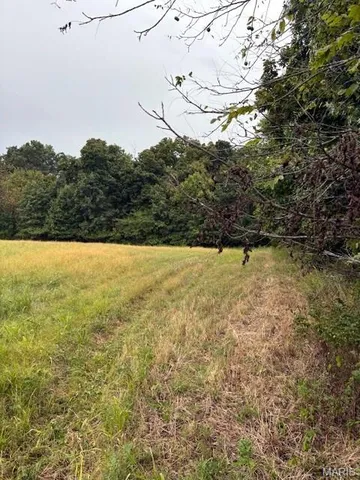 $1,360,000 | 80-ac Dream Hollow Road, Troy, MO 63379