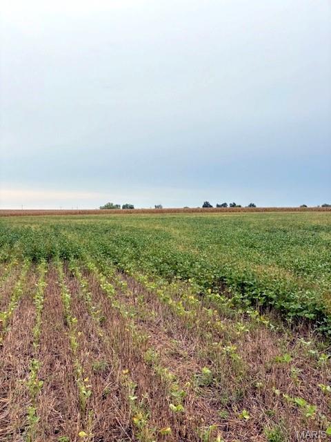 80-ac Dream Hollow Road Troy, MO 63379 - Photo 4 of 20