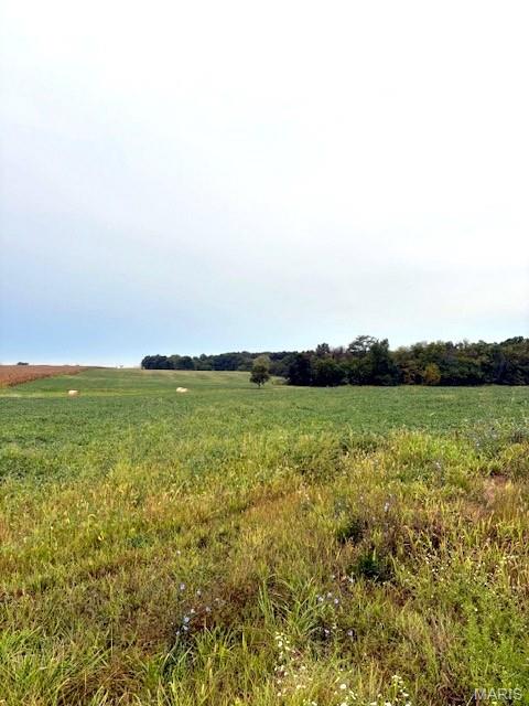 80-ac Dream Hollow Road Troy, MO 63379 - Photo 5 of 20