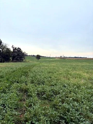 $1,360,000 | 80-ac Dream Hollow Road, Troy, MO 63379