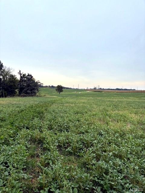 80-ac Dream Hollow Road Troy, MO 63379 - Photo 7 of 20