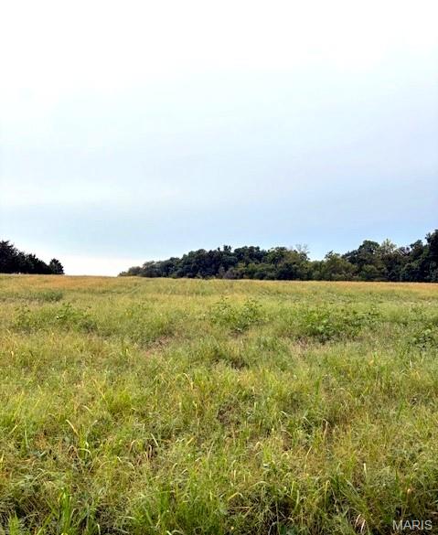 80-ac Dream Hollow Road Troy, MO 63379 - Photo 8 of 20