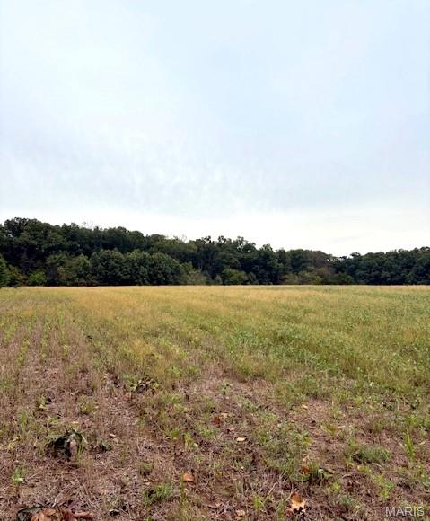 80-ac Dream Hollow Road Troy, MO 63379 - Photo 9 of 20