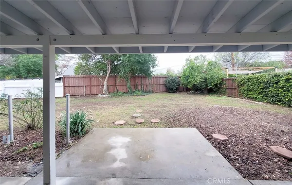 a view of a backyard with a large tree
