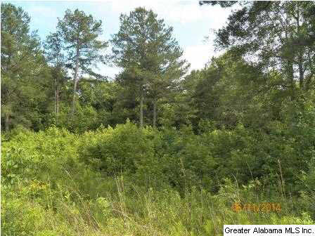 0 Kirkseys Bend Ohatchee, AL 36271 - Photo 8 of 8