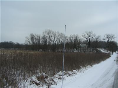 535 East Elm Valley Road Buchanan, MI 49107 - Photo 1 of 2 Primary Photo