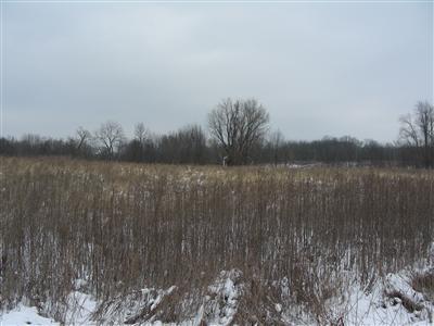 535 East Elm Valley Road Buchanan, MI 49107 - Photo 2 of 2 Additional Photo