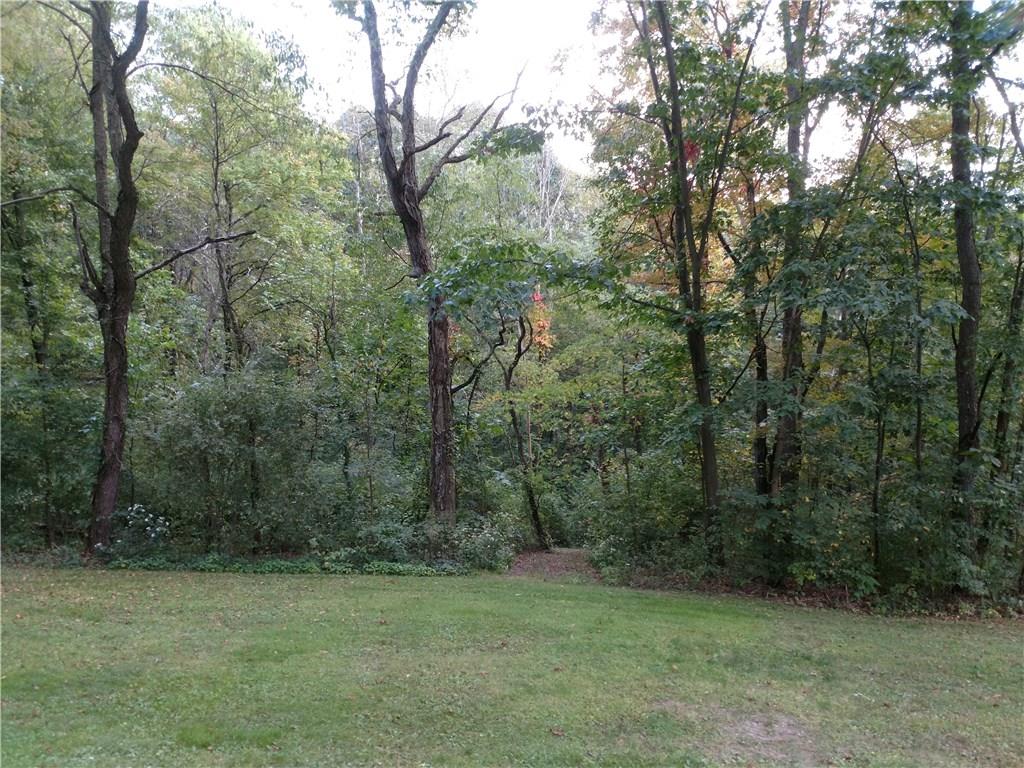 164 Householder Road New Brighton, PA 15066 - Photo 20 of 22 The 8.44 acres provides a lot of exploring opportunities and abundant wildlife