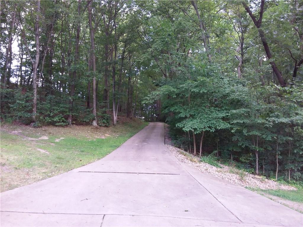164 Householder Road New Brighton, PA 15066 - Photo 22 of 22 Treed lined concrete drive