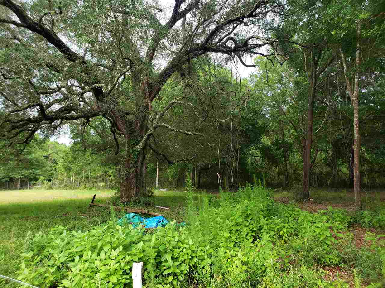 9736 Hildreth Drive Elberta, AL 36530 - Photo 7 of 9