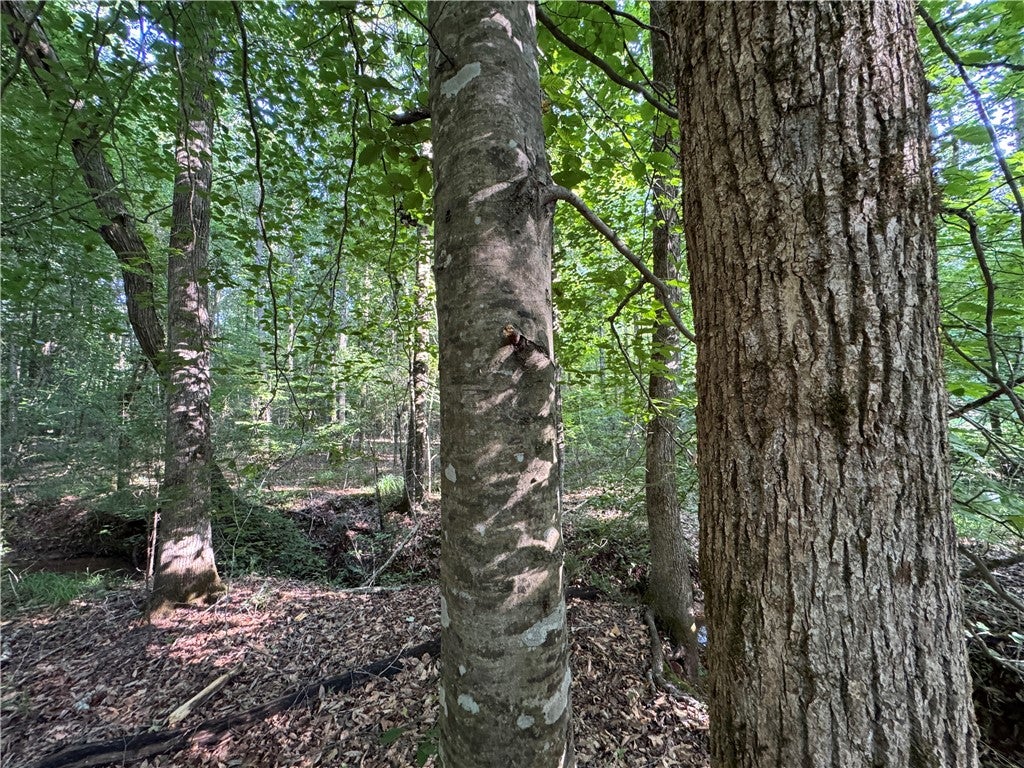 0 Trimble Road Camp Hill, AL 36850 - Photo 7 of 14 Gallery Image 7