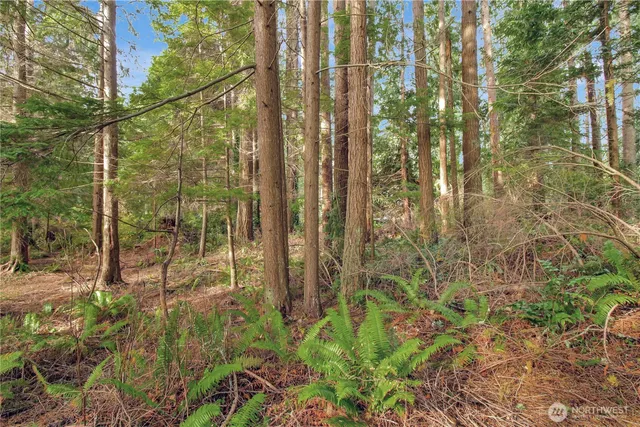 a backyard of a house with lots of green space
