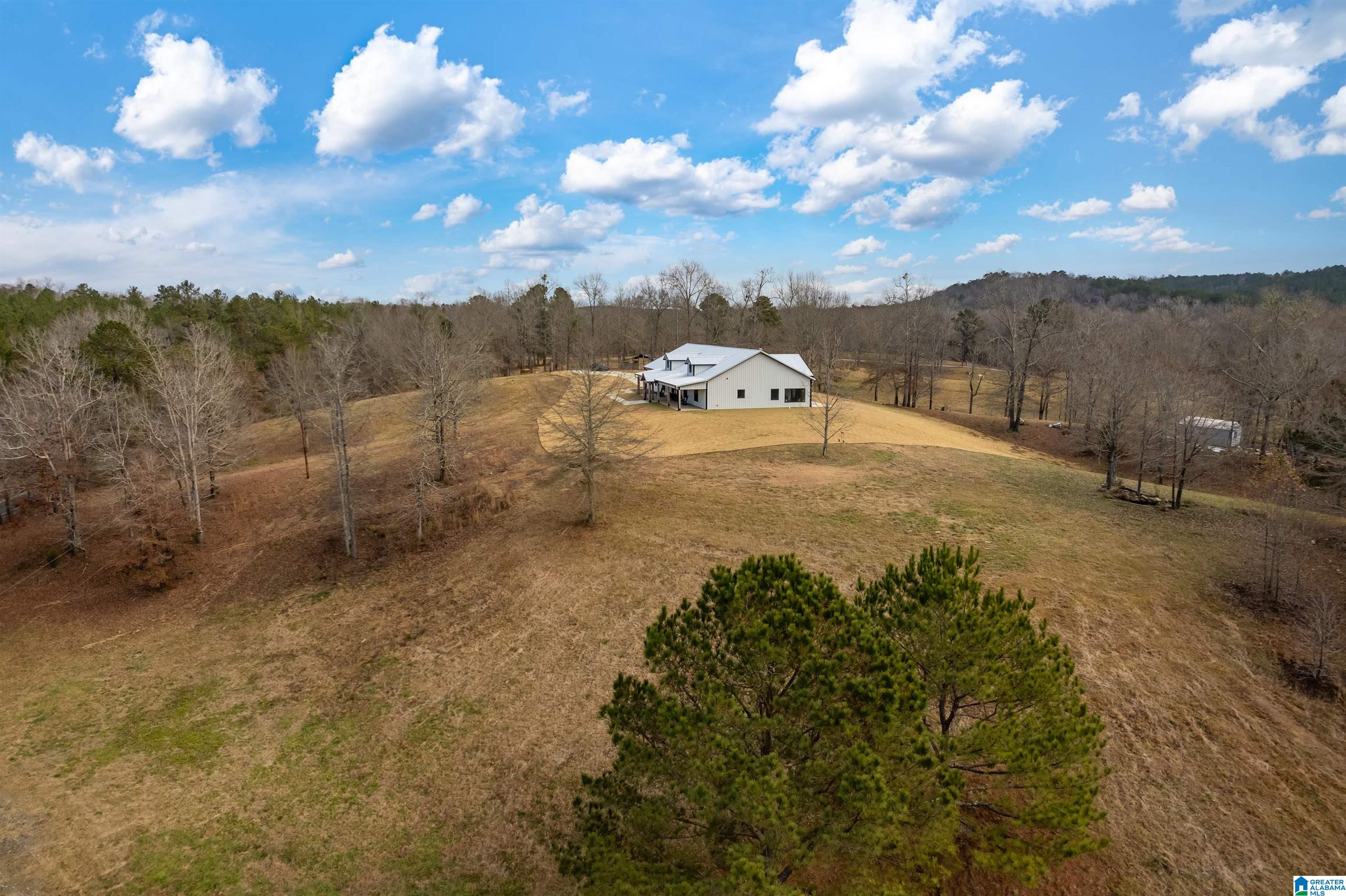 674 Dry Creek Road Cropwell, AL 35054 - Photo 47 of 49