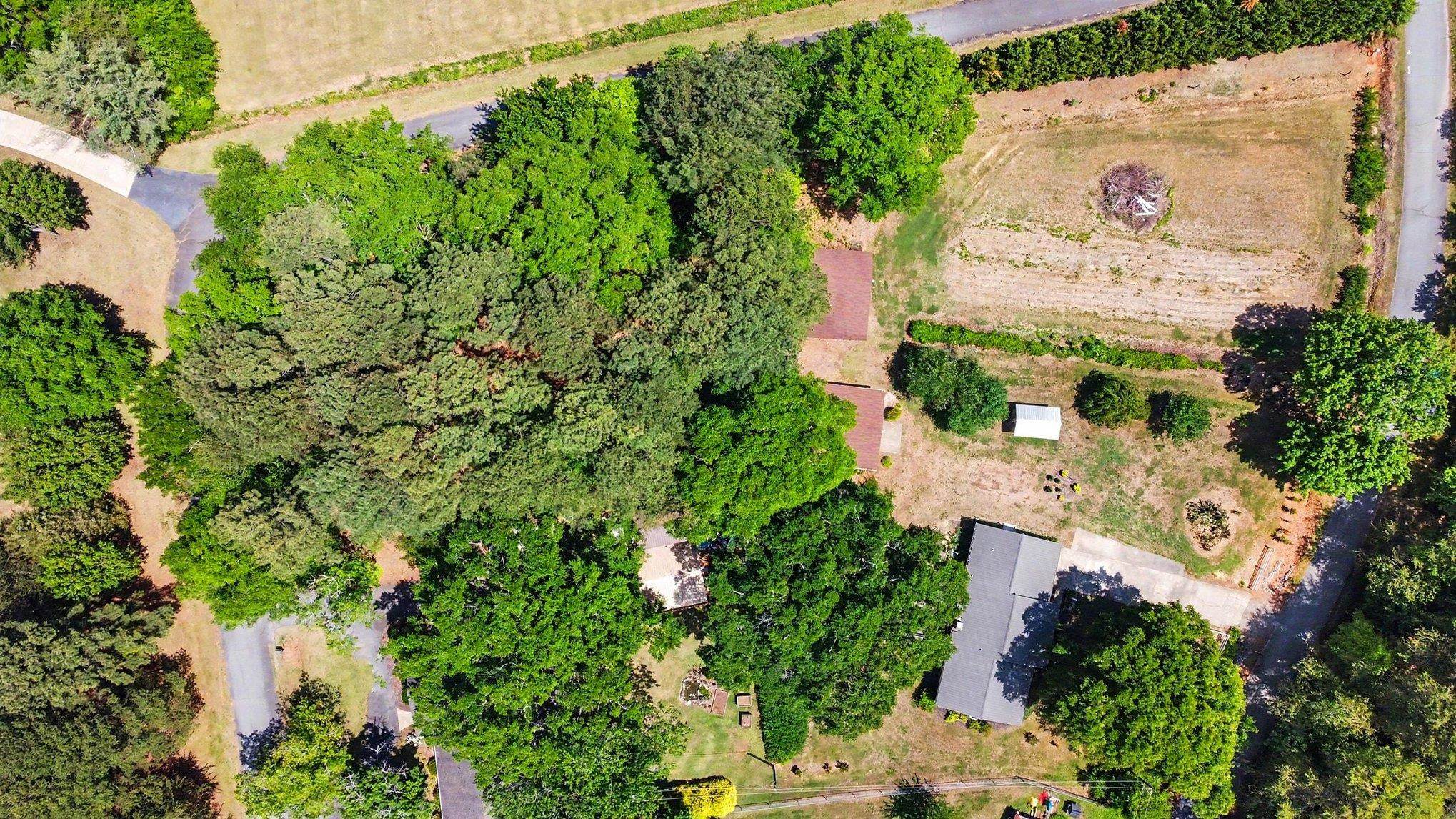 285 State Rd S-42-2406 Inman, SC 29349 - Photo 40 of 44
