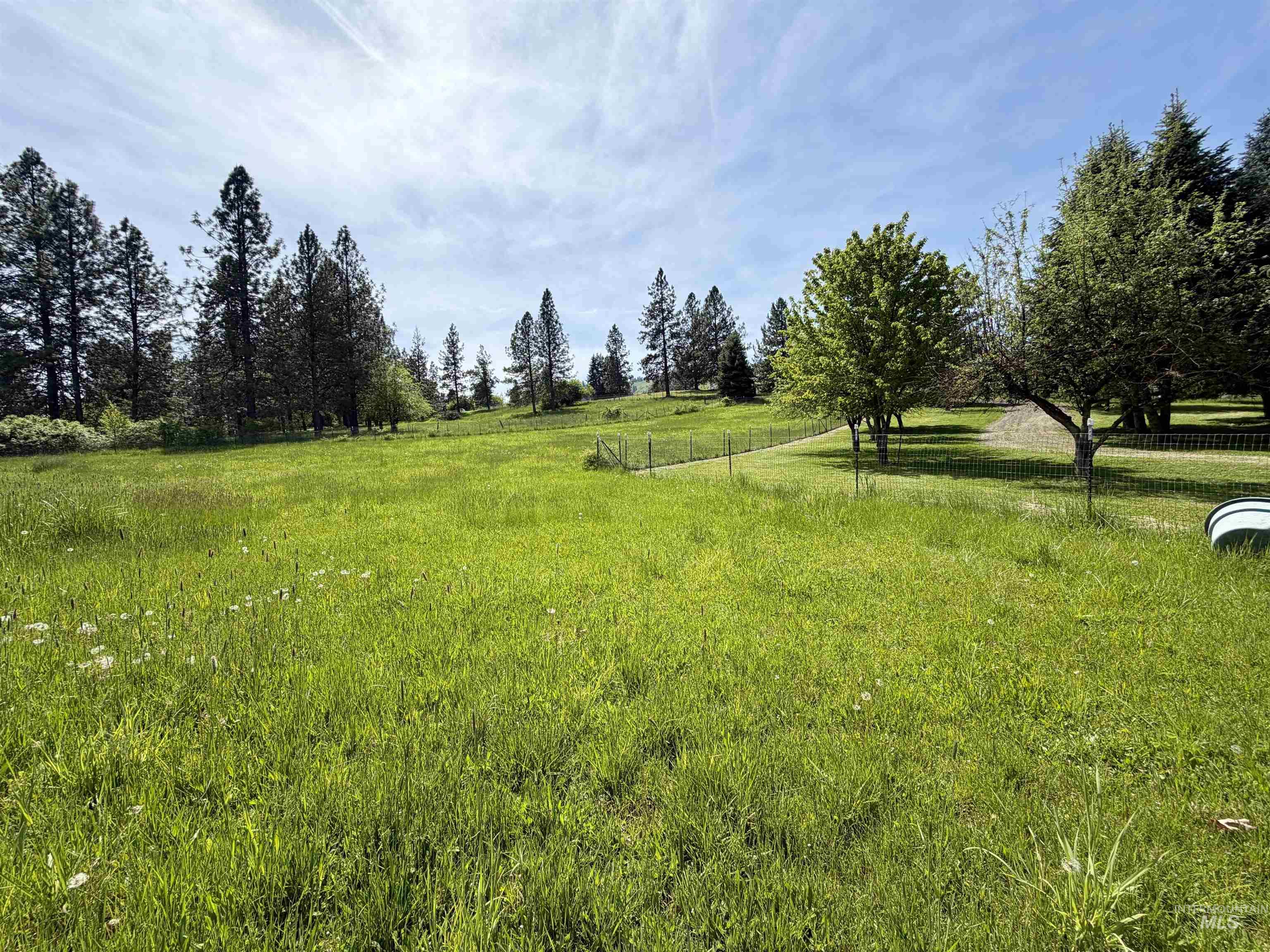 1215 Ridgewood Drive Kamiah, ID 83536 - Photo 29 of 43
