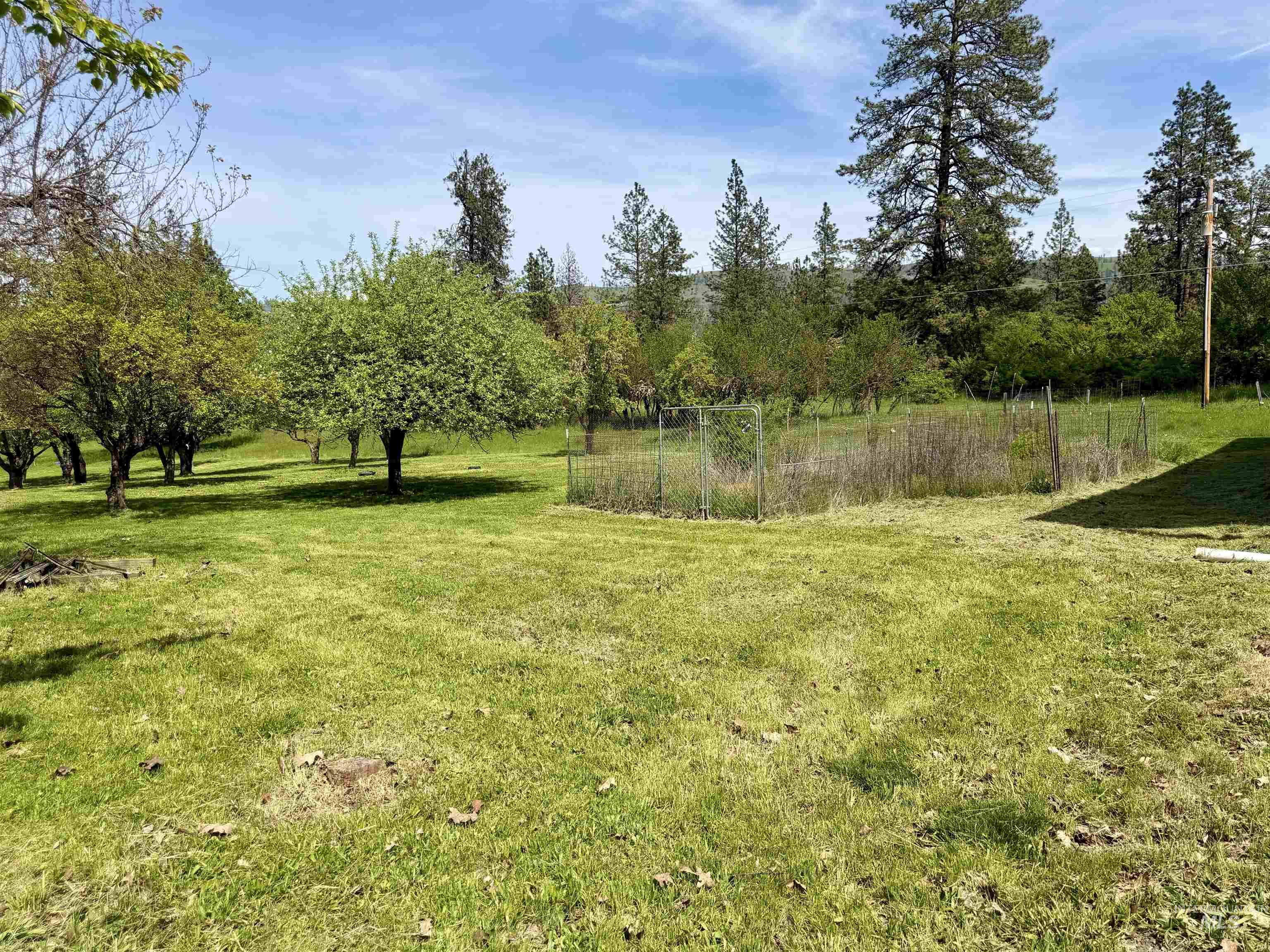 1215 Ridgewood Drive Kamiah, ID 83536 - Photo 32 of 43