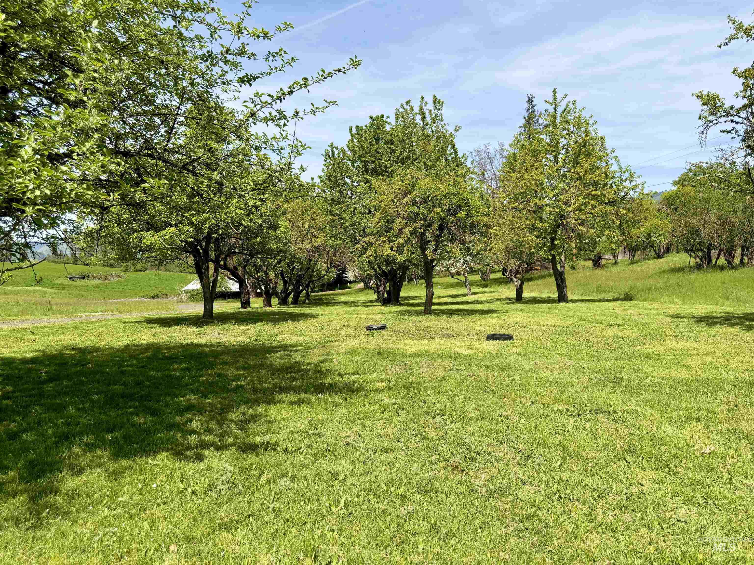1215 Ridgewood Drive Kamiah, ID 83536 - Photo 33 of 43