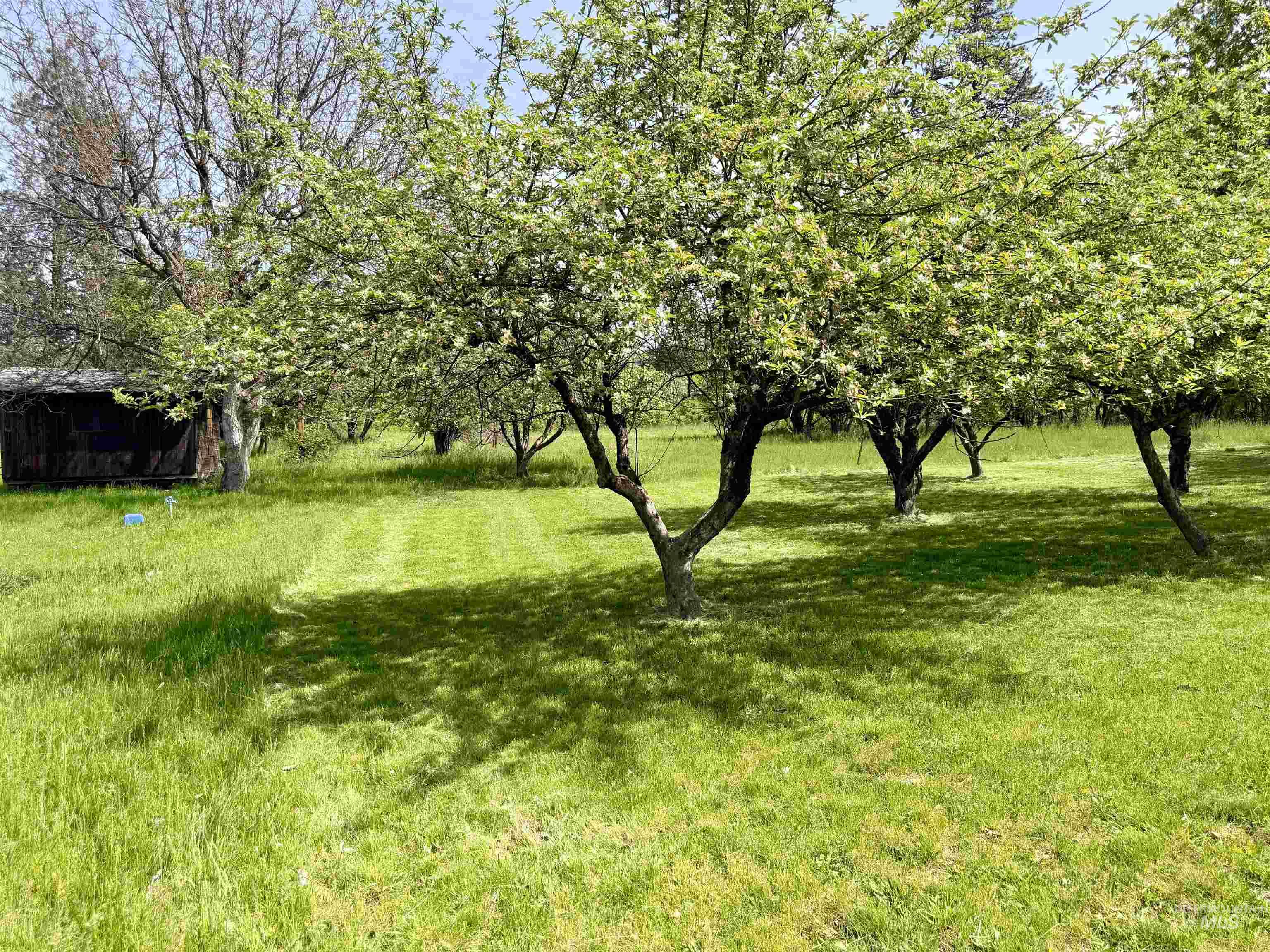 1215 Ridgewood Drive Kamiah, ID 83536 - Photo 34 of 43