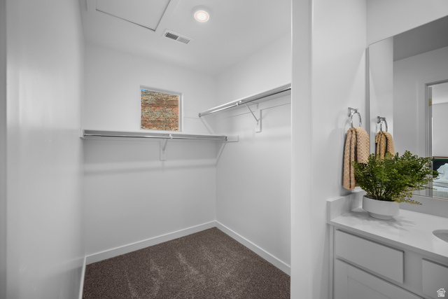 2202 Wolverine Way, Unit 2529 Washington, UT 84780 - Photo 25 of 27 Walk-in closet with carpet flooring and shelving system