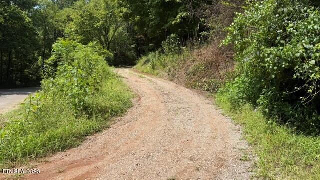 937 Misty Valley Road Friendsville, TN 37737 - Photo 13 of 13 13