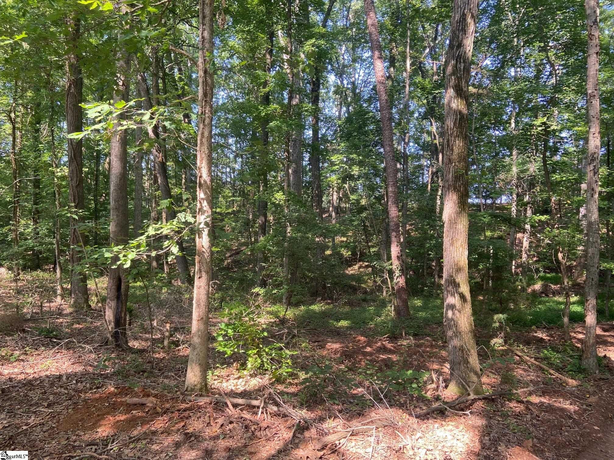 472 Knickerbocker Estates Road Fountain Inn, SC 29644 - Photo 23 of 34