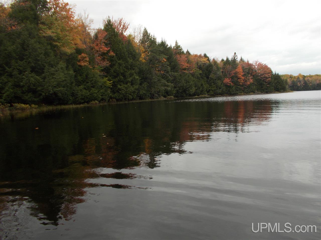 Clark Lake Jack Spurr Road Wakefield, MI 49968 - Photo 7 of 20