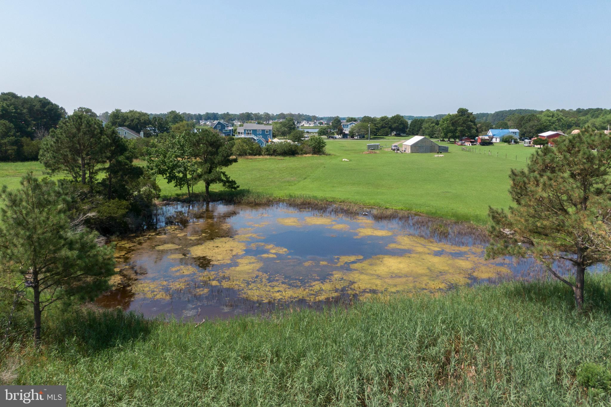 37335 Dirickson Creek Road Frankford, DE 19945 - Photo 14 of 19