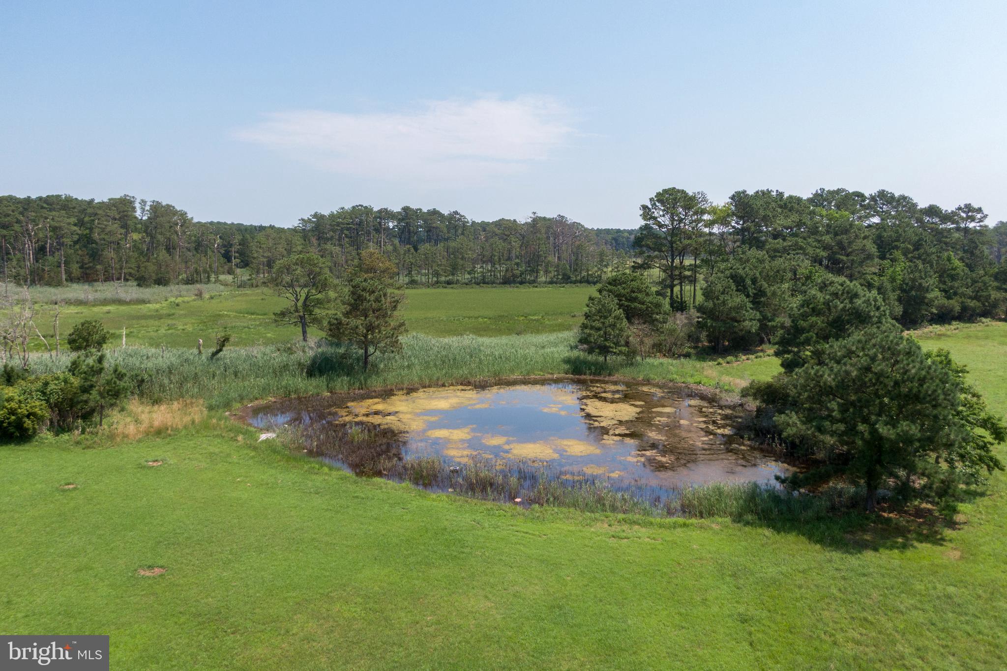 37335 Dirickson Creek Road Frankford, DE 19945 - Photo 15 of 19