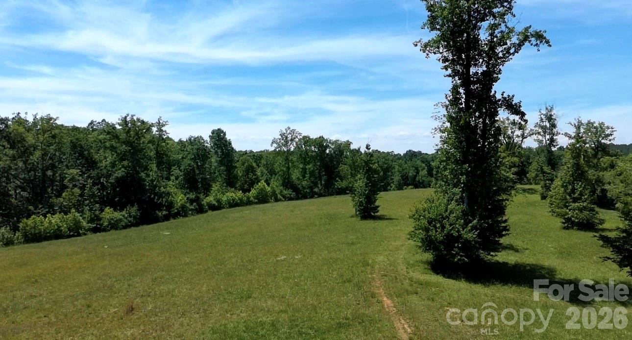 473 McEntire Road Tryon, NC 28782 - Photo 11 of 18