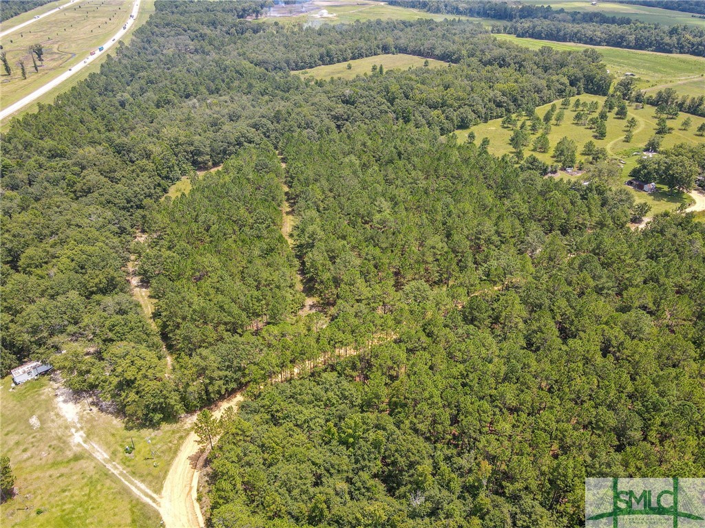 1 Turkey Ridge Road Metter, GA 30439 - Photo 8 of 46