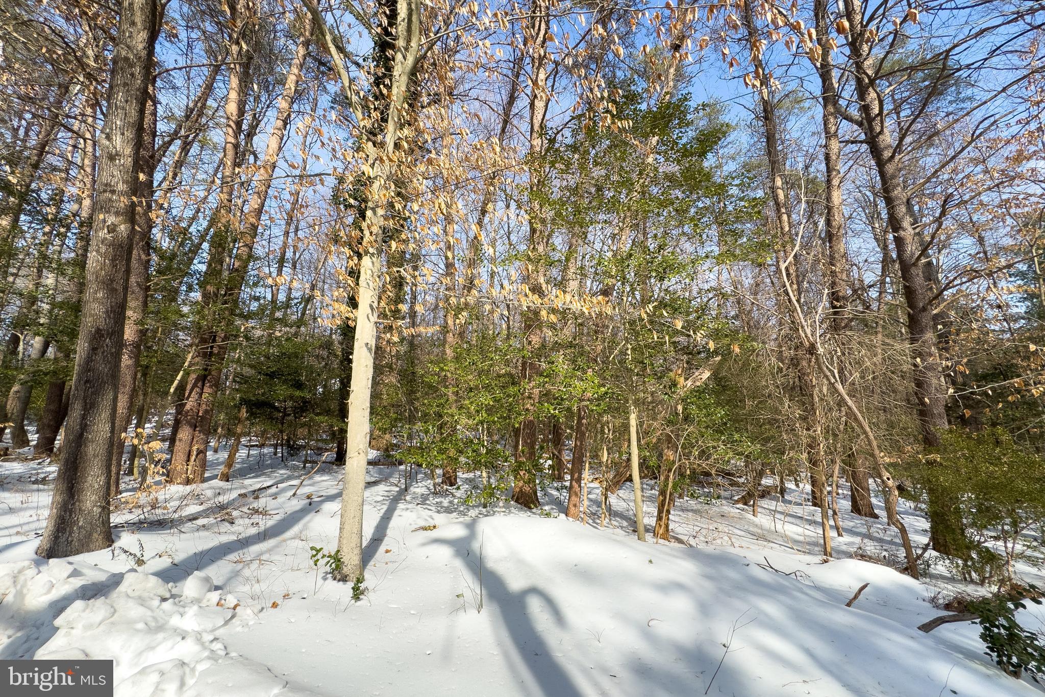 11529 Popes Head Road Fairfax, VA 22030 - Photo 2 of 3