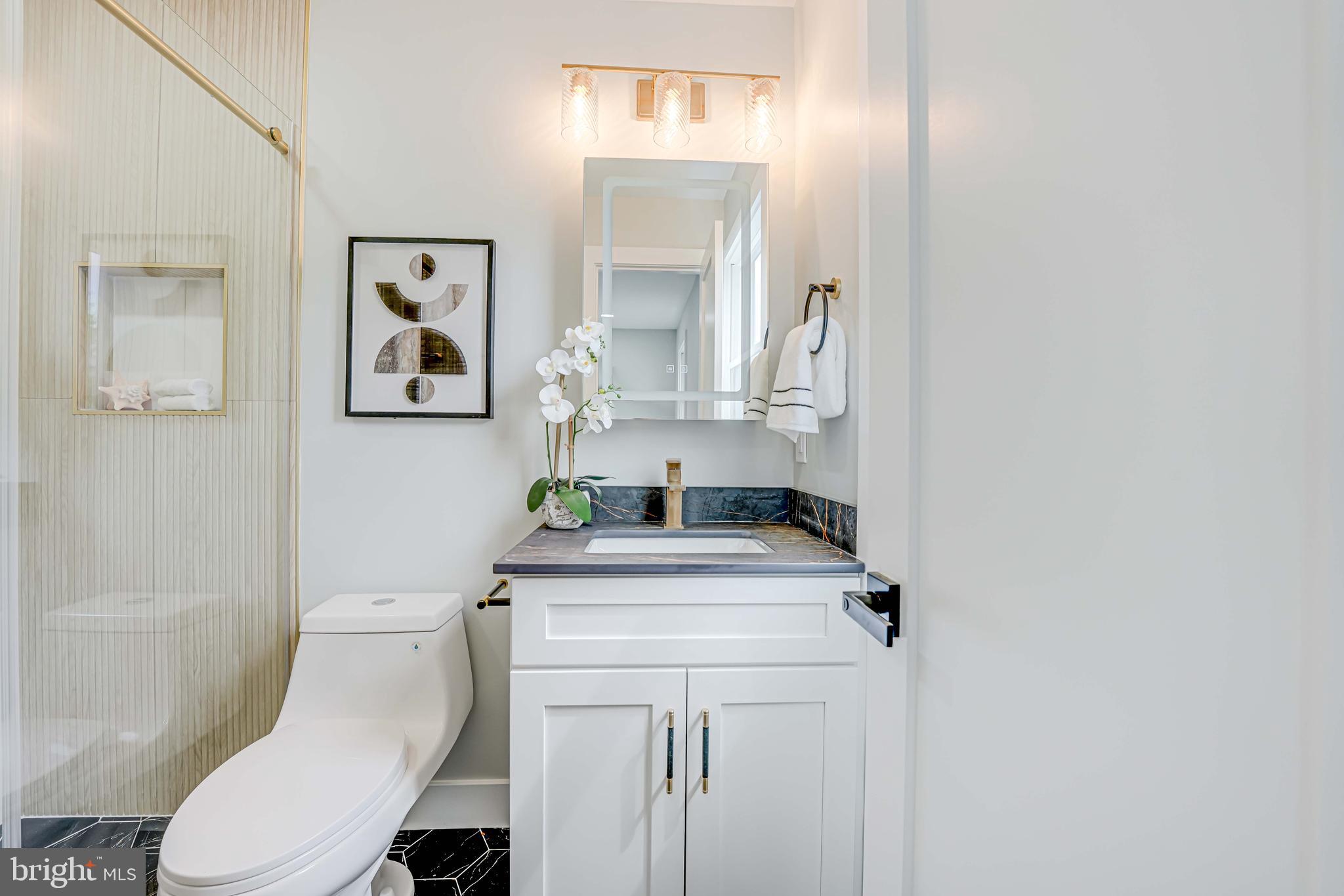8643 Gateshead Road Alexandria, VA 22309 - Photo 19 of 40 a bathroom with a sink a toilet and mirror