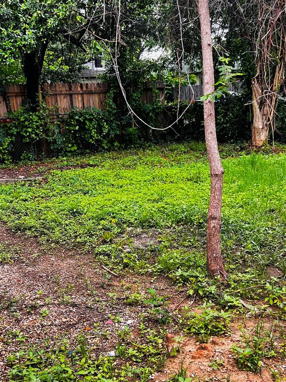 3719 Meadow Street Dallas, TX 75215 - Photo 17 of 18 a backyard of a house with lots of green space