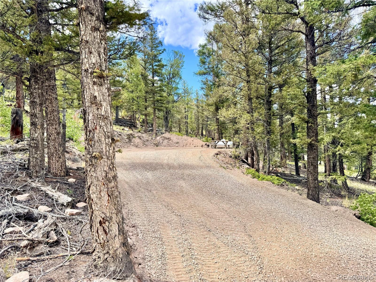 a wooden bench with view of trees