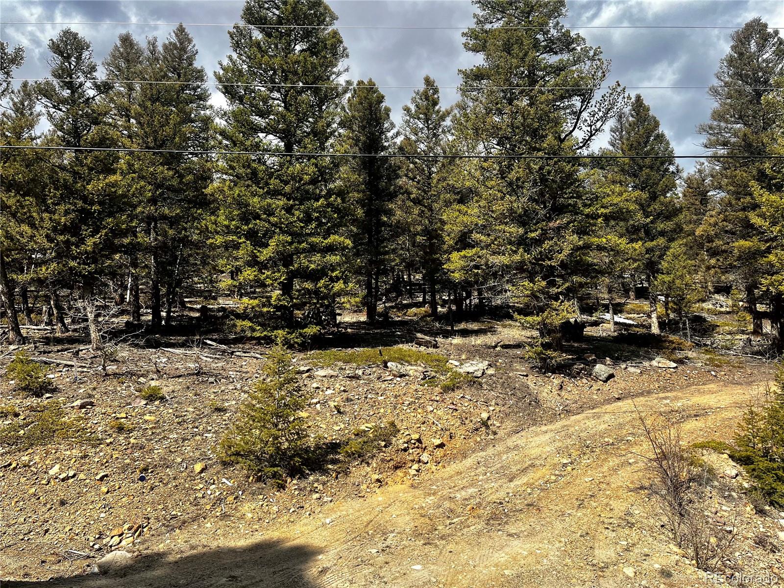 2843 Redhill Road Fairplay, CO 80440 - Photo 25 of 45 Gallery Image 25