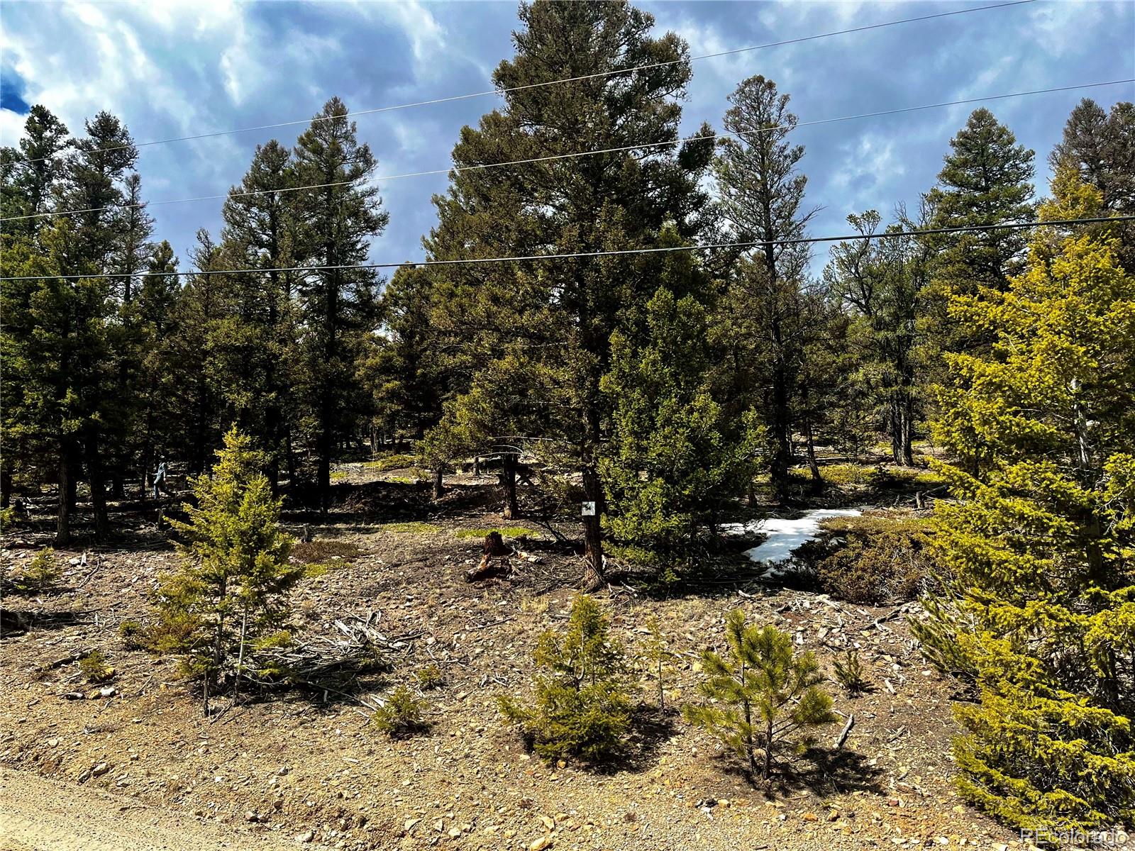 2843 Redhill Road Fairplay, CO 80440 - Photo 42 of 45 Gallery Image 42