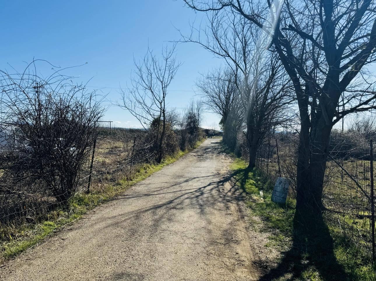 22148 Lone Tree Road Anderson, CA 96007 - Photo 13 of 19 12