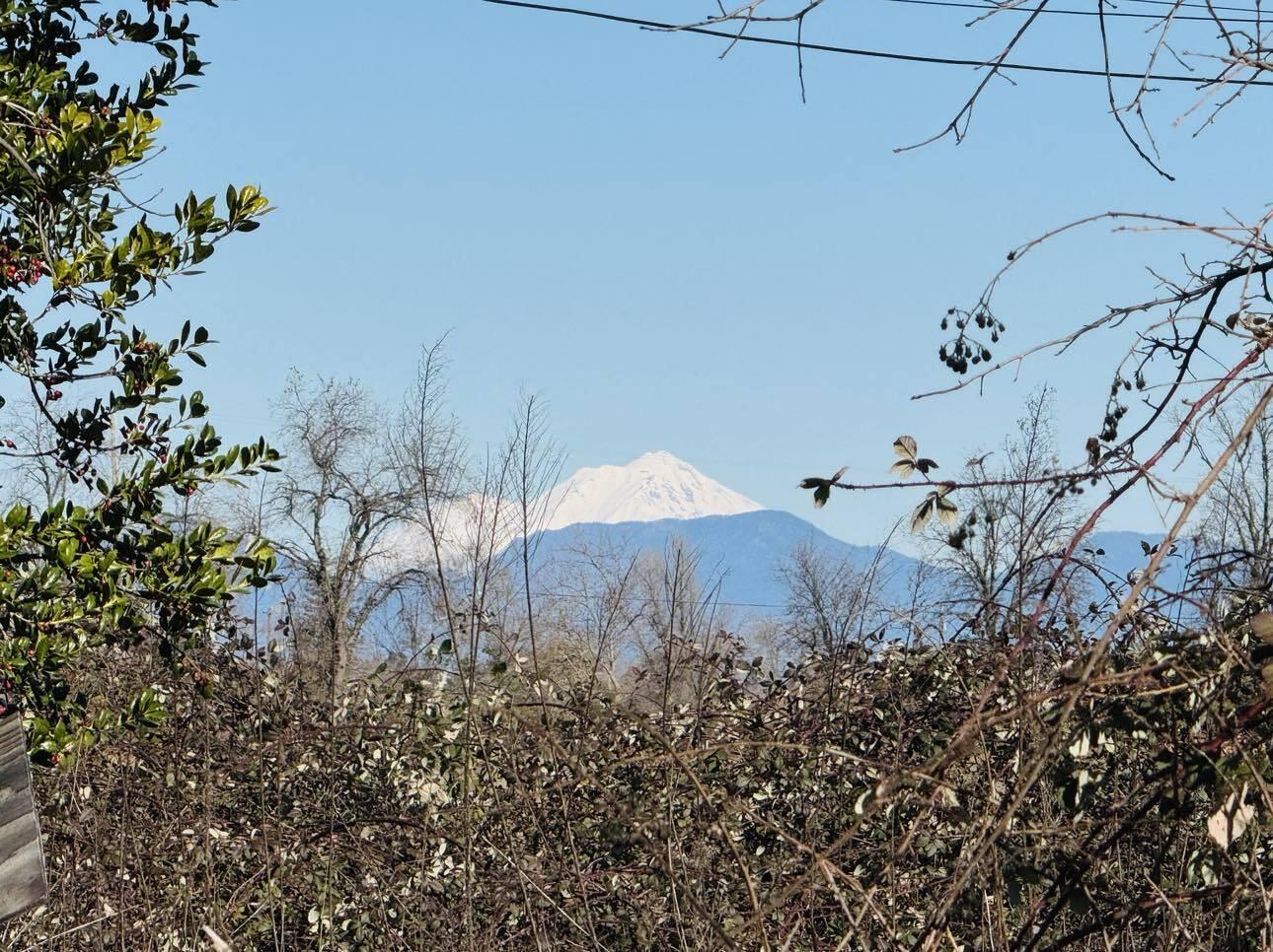 22148 Lone Tree Road Anderson, CA 96007 - Photo 7 of 19 7