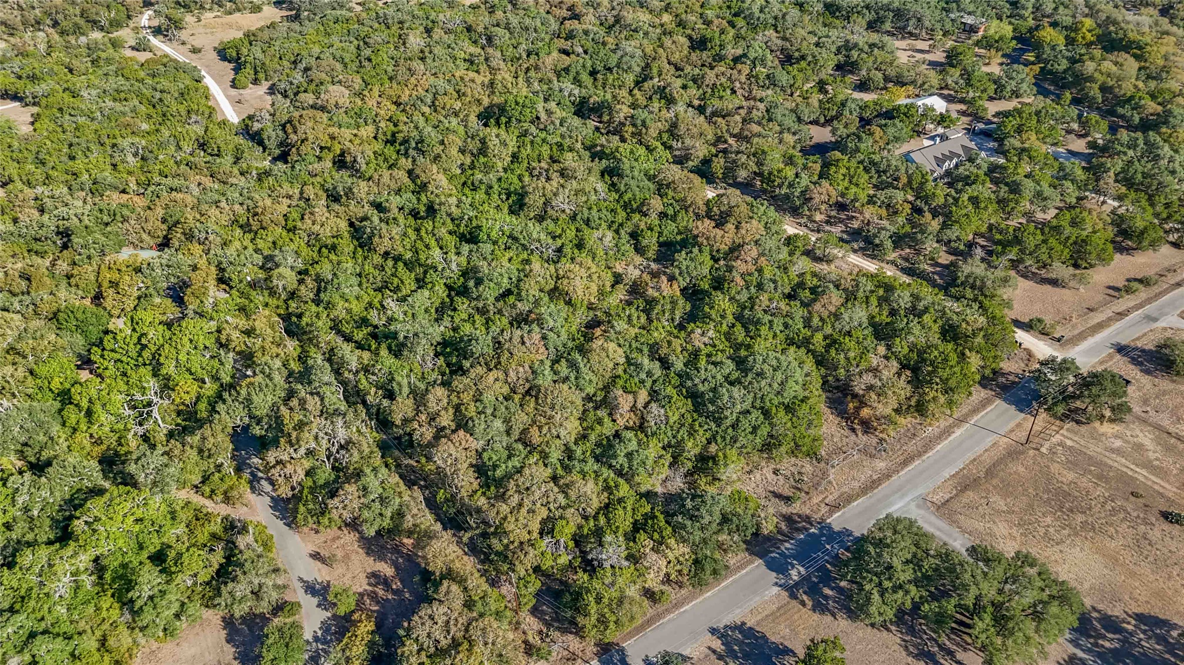 1306 Thousand Oaks Loop San Marcos, TX 78666 - Photo 13 of 14 a view of a yard with plants and wooden fence