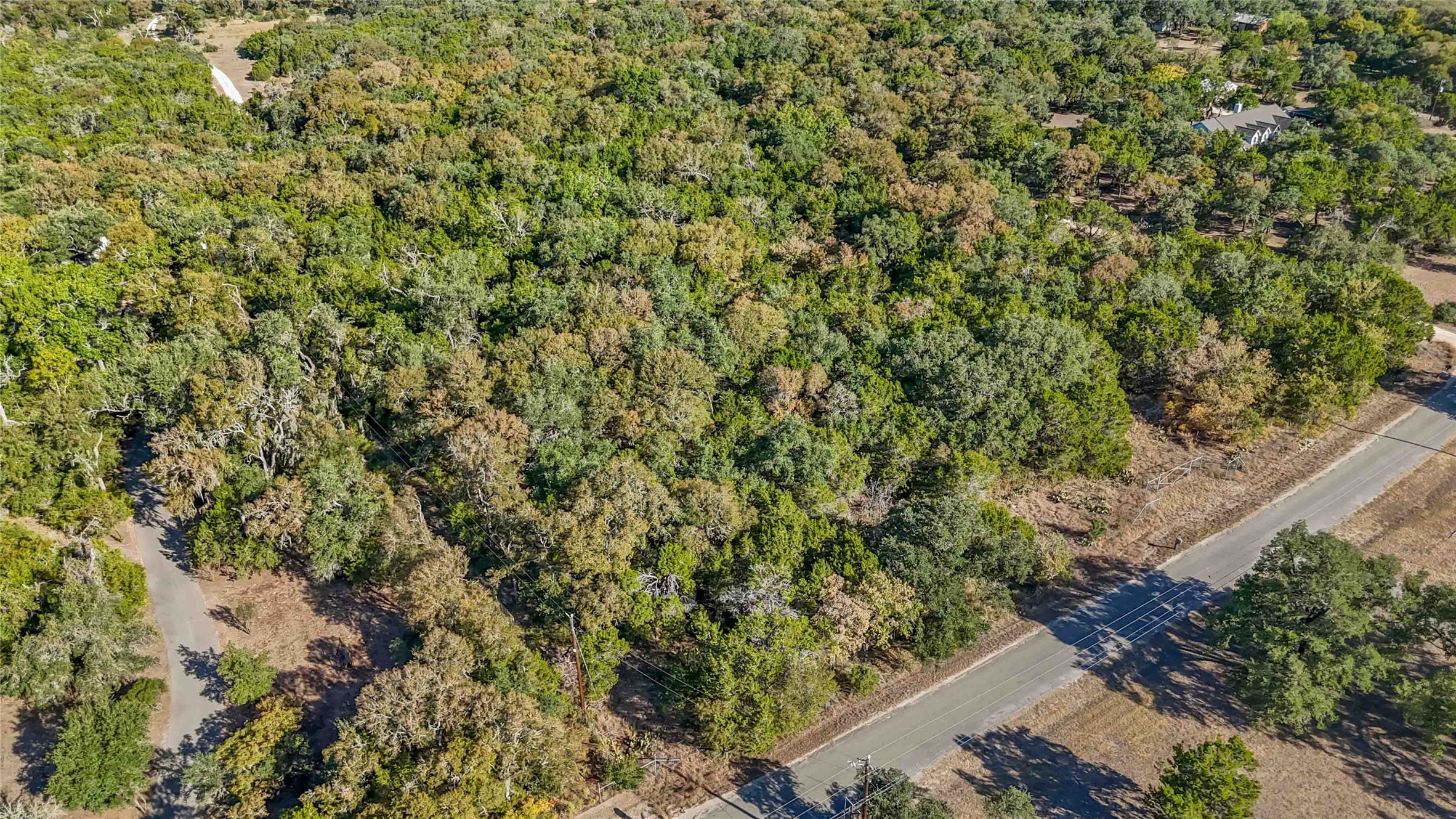 1306 Thousand Oaks Loop San Marcos, TX 78666 - Photo 14 of 14 a view of a yard with plants and wooden fence