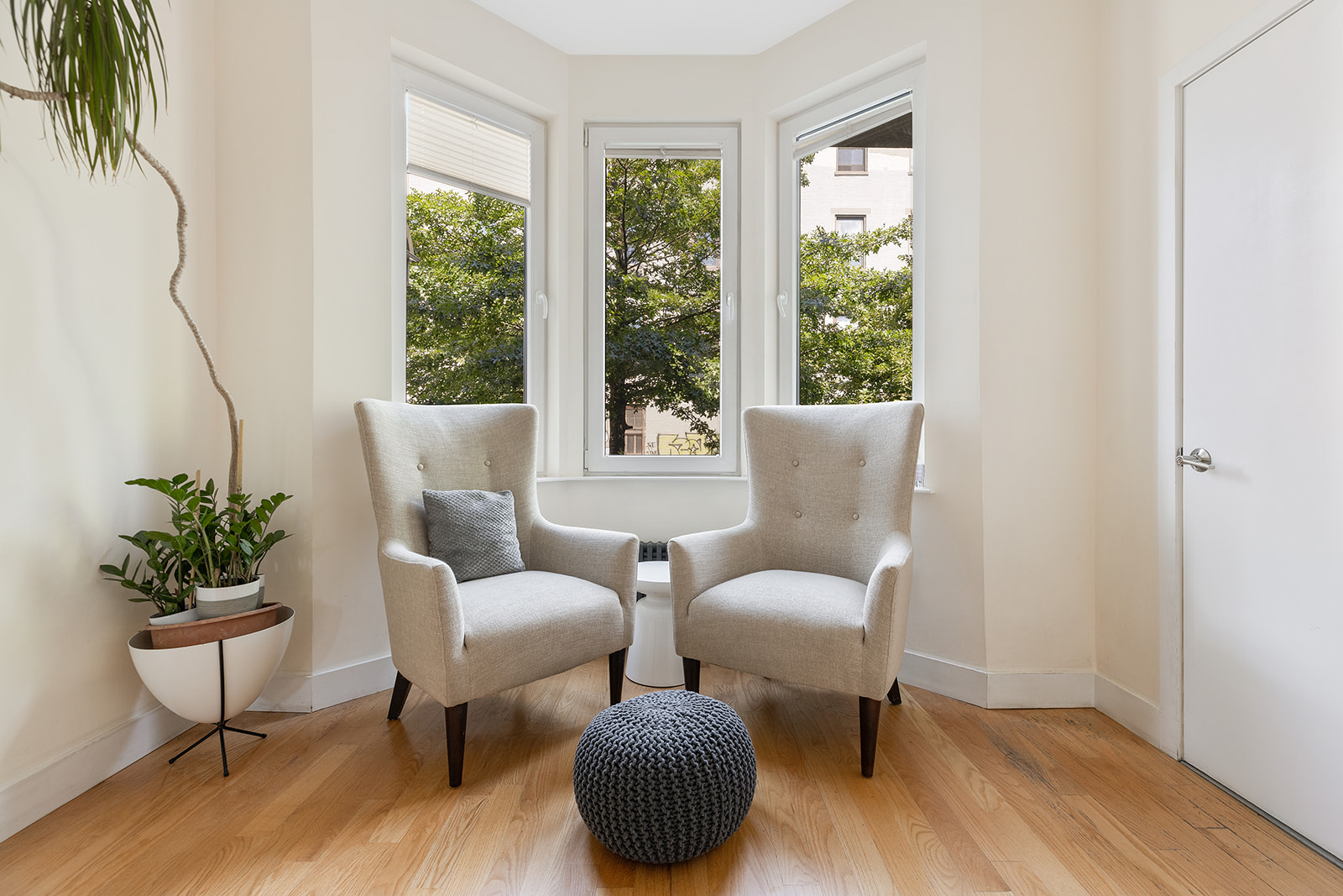 241 A Monitor Street Brooklyn, NY 11222 - Photo 2 of 16