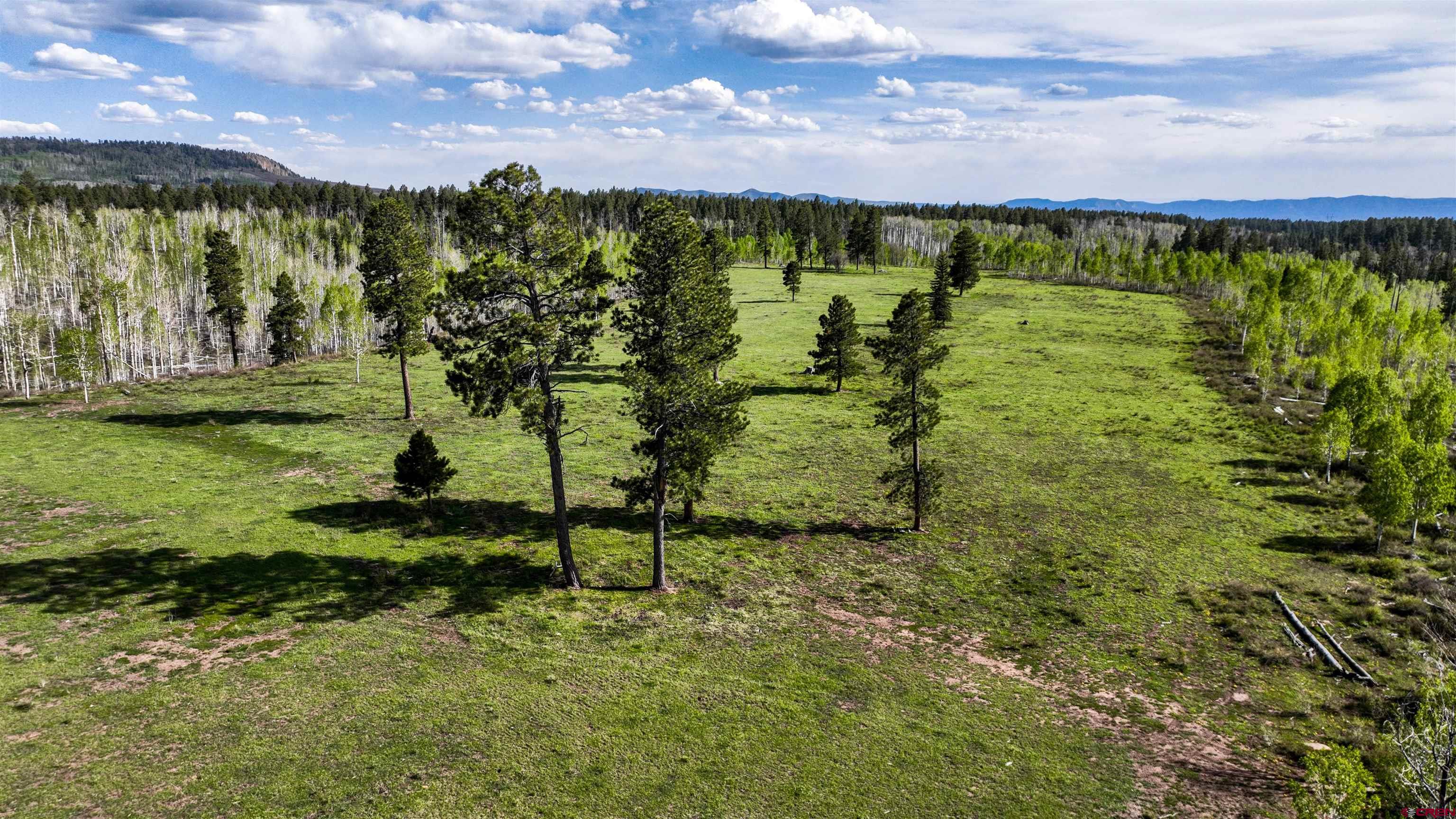44500 Ditches Road Mancos, CO 81328 - Photo 16 of 31 Gallery Image 16