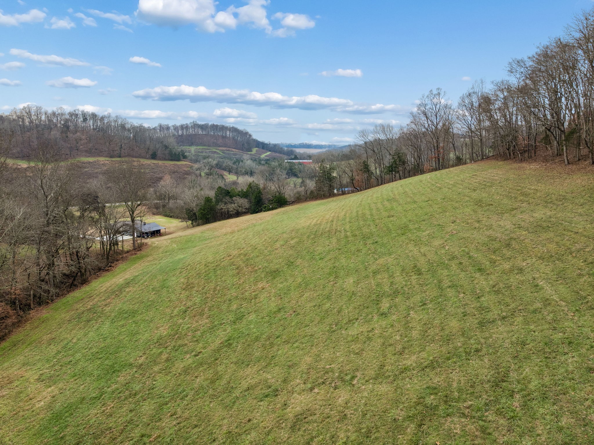 76 Cathcart Road Frankewing, TN 38459 - Photo 13 of 25 a view of an outdoor space and a yard