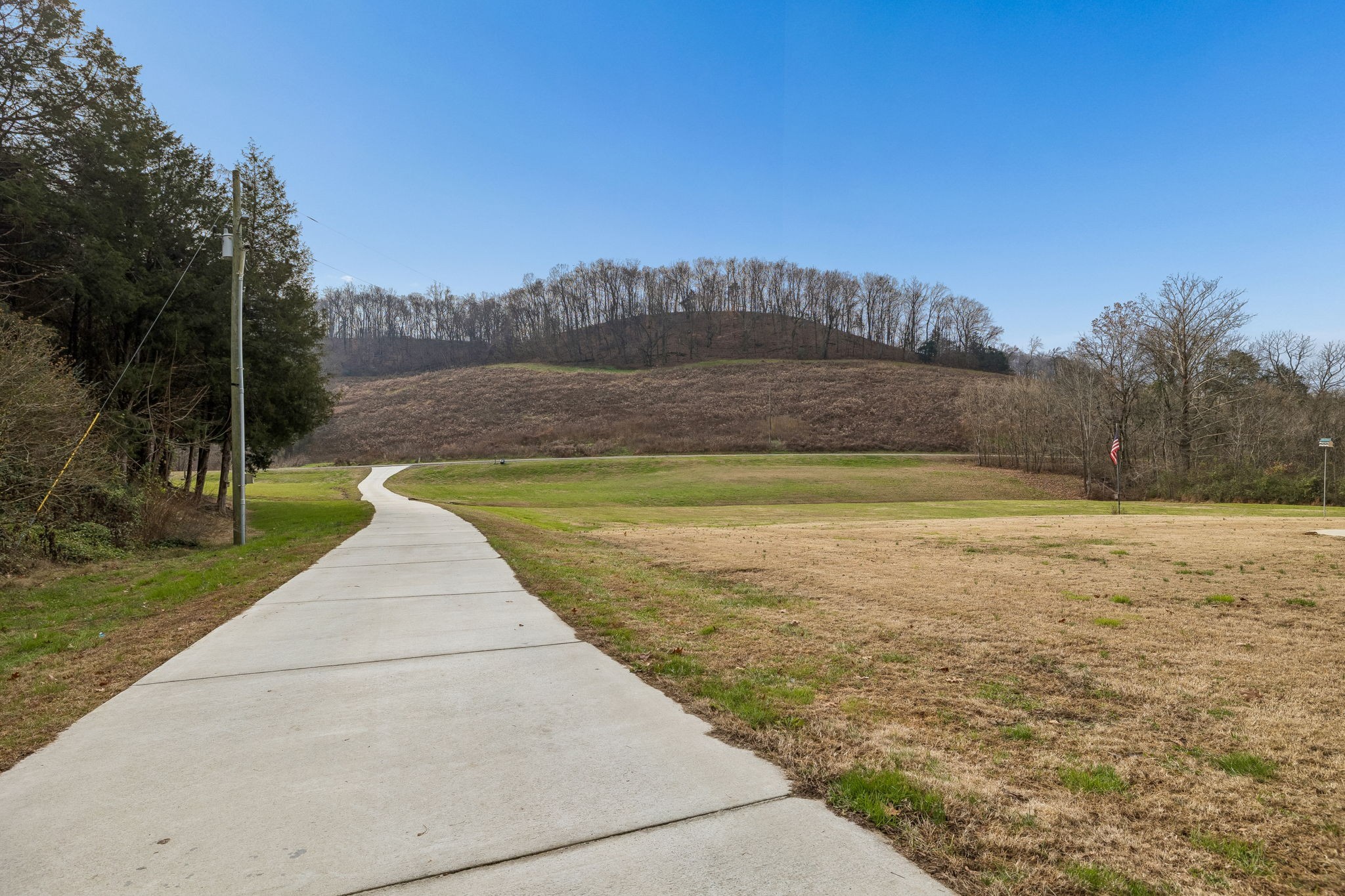 76 Cathcart Road Frankewing, TN 38459 - Photo 6 of 25 a view of a swimming pool with a yard and palm trees