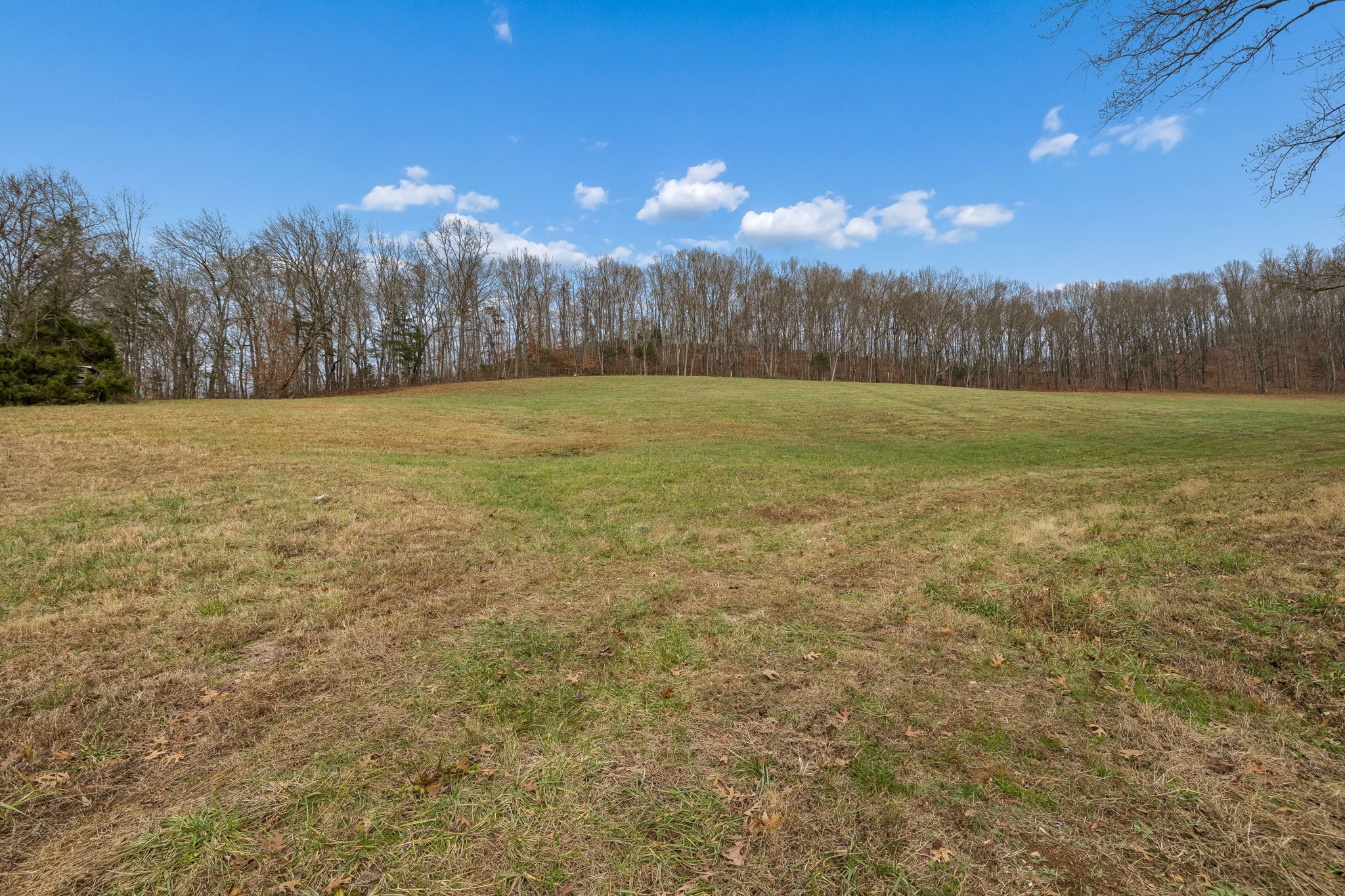 76 Cathcart Road Frankewing, TN 38459 - Photo 9 of 25 a view of an outdoor space and a yard